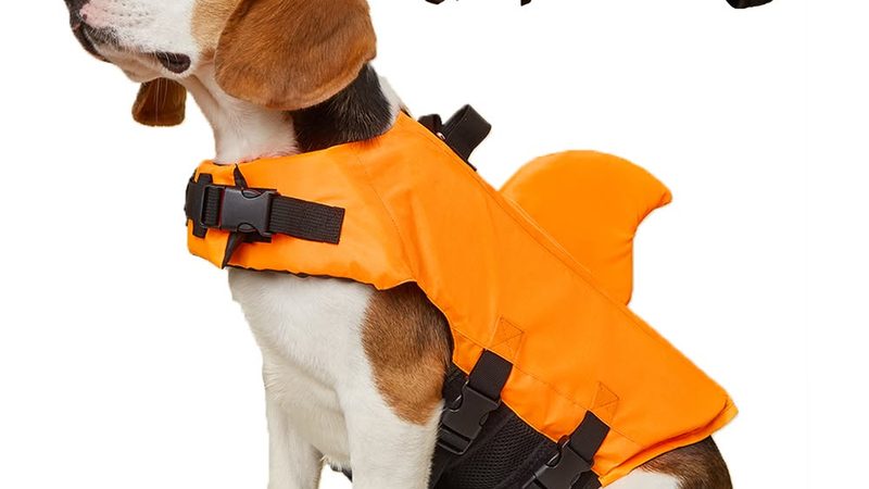 冷却塔厂家提供安装服务吗